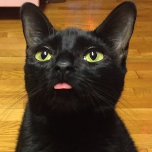 Meet your Posher, Ixel